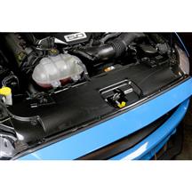 APR Mustang Carbon Fiber Radiator Cover (15-17) 5.0 CF-205002