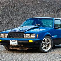 Phoenix Graphix Mustang Cobra Hood & Door Decal Kit  - Blue (1979)