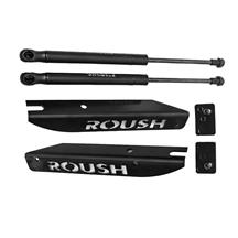 Roush Mustang Hood Struts (05-14) 421236