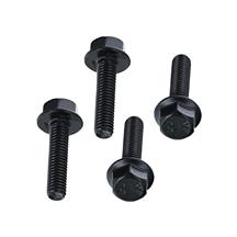 Mustang Camshaft Position Sensor Hardware (11-17) 5.0