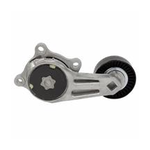 Motorcraft F-150 Raptor Accessory Belt Tensioner (11-14) 6.2 BT137
