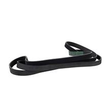 Motorcraft F-150 Raptor Serpentine Belt (10-14) 6.2 JK61057A