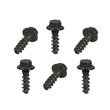 Mustang Fog Light/Turn Signal Screws (18-23)