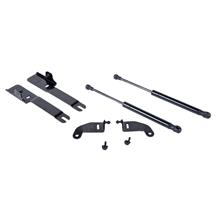 Roush Mustang Hood Struts (15-23) 422043