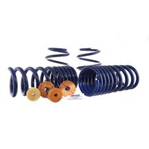 Ford Performance Mustang Track Lowering Spring Kit (15-23) GT/EcoBoost M-5300-YA