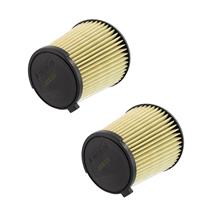 Motorcraft Mustang Air Filter Kit (24-26) 5.0 FA2066