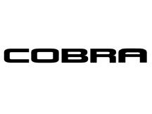 Mustang Cobra Rear Bumper Inserts Black (2001)