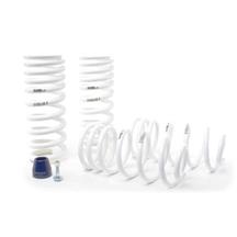 H&R Mustang Super Race Springs (79-04) Coupe/Hatchback 51650-99