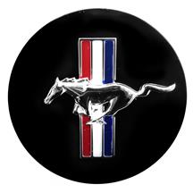 Ford Mustang Bullitt Center Cap (01-04) 1R3Z1130AA