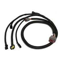 F-150 SVT Lightning 4R100W Replacement Transmission Harness (99-04) FH-199