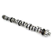 Ford Performance Mustang E303 Camshaft Hydraulic Roller, E Cam (85-95) 5.0/5.8 M-6250-E303