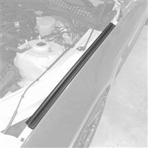 Mustang Fender to Hood Seal - LH (18-23) JR3Z-16A239-A