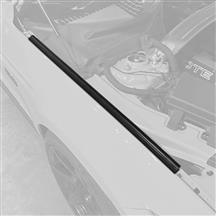 Mustang Fender to Hood Seal - RH (15-17) FR3Z-16A238-E