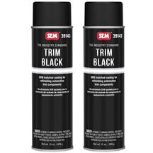 SEM Trim Black Exterior Paint Kit
