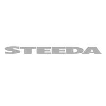 Steeda Mustang Windshield Banner Silver (79-14) 157-3503