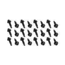 SVE F-150 Raptor Beadlock Ring Hardware Kit (10-14)