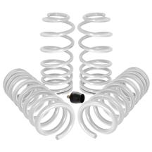 SVE Mustang Lowering Springs - Progressive Rate (79-04)
