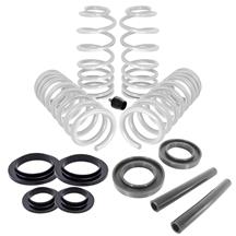 SVE Mustang Lowering Springs & Spring Isolators - Urethane  (79-04)