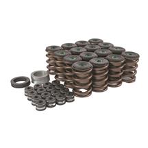 Trick Flow Mustang Valve Spring Upgrade Kit - OE Style Cast Iron Head (79-95) 5.0|5.8 2500100